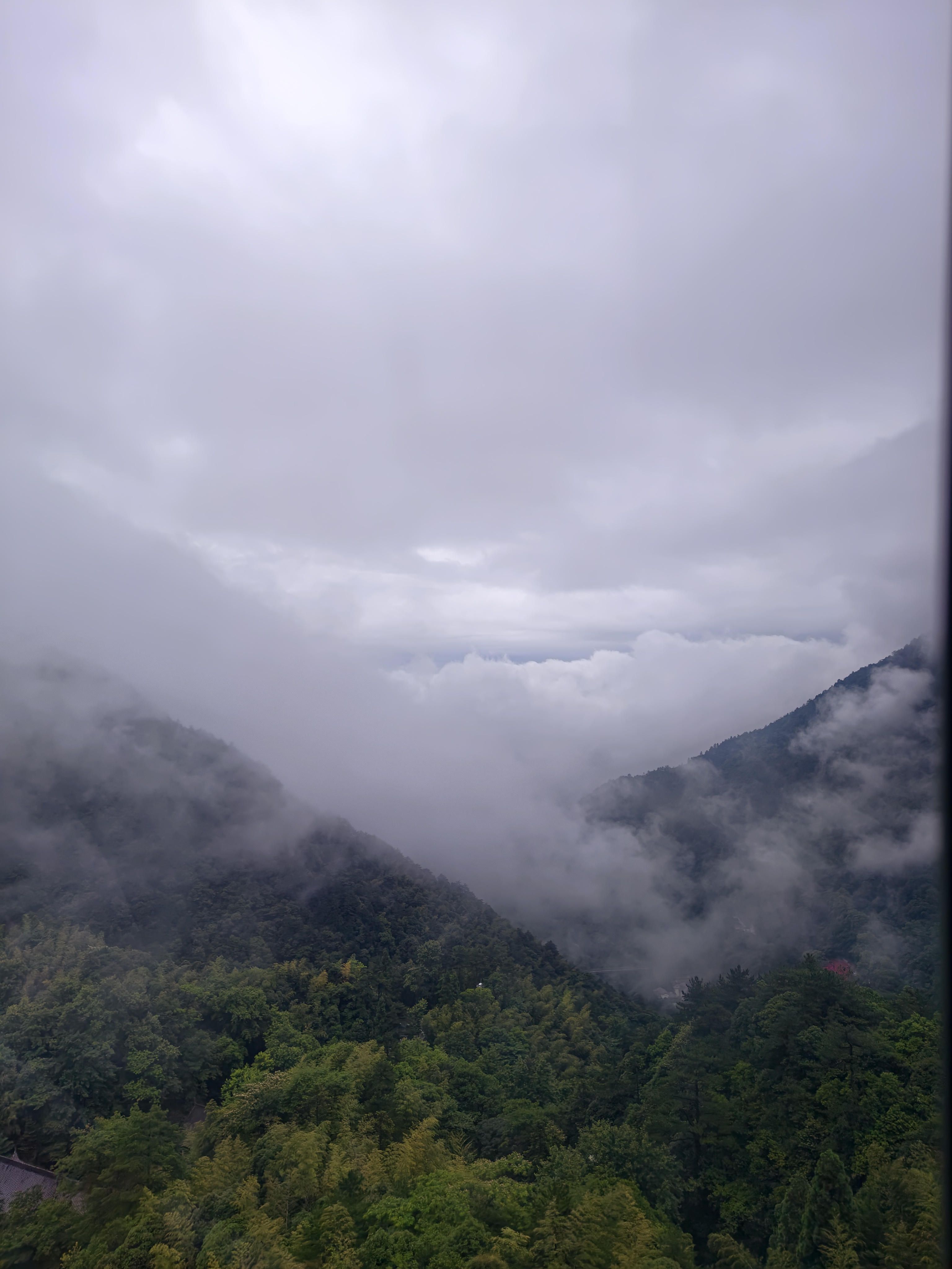 黄山·2026年6月21日 13
