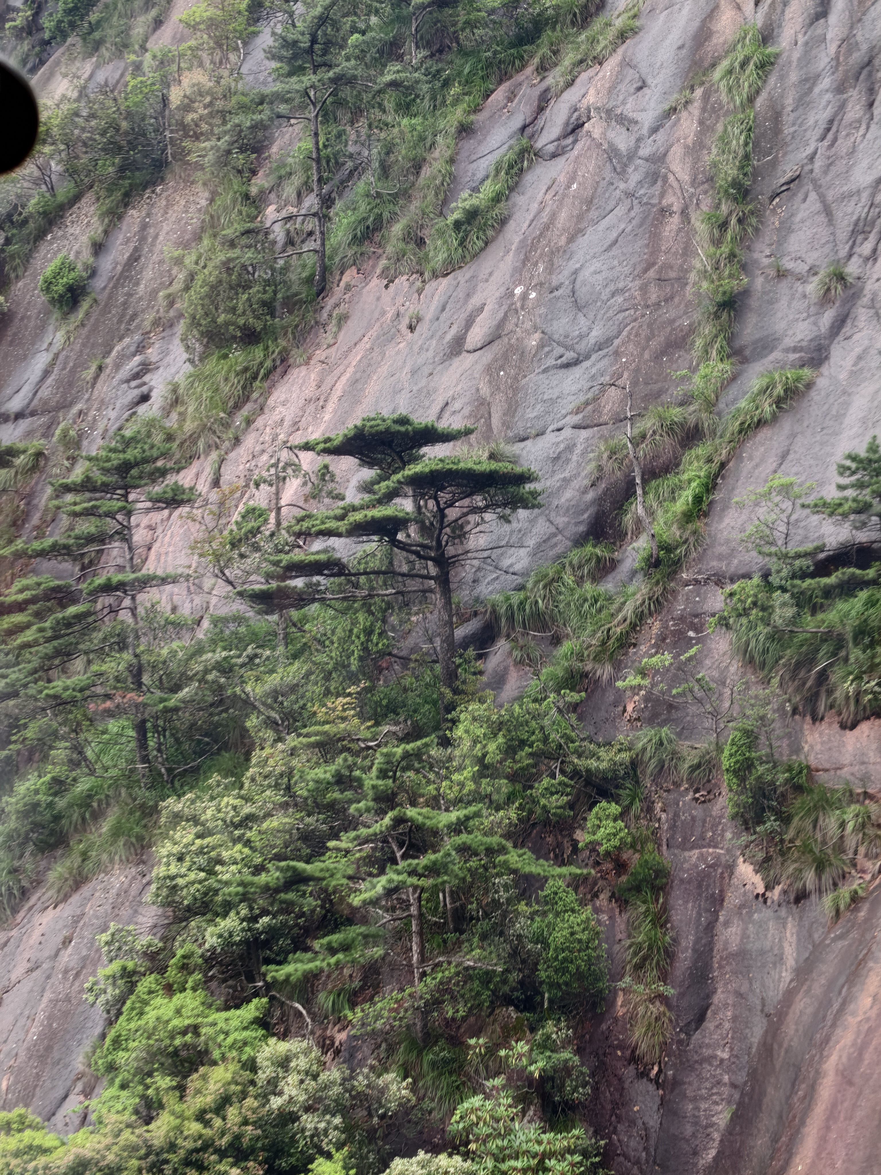 黄山·2026年6月21日 21