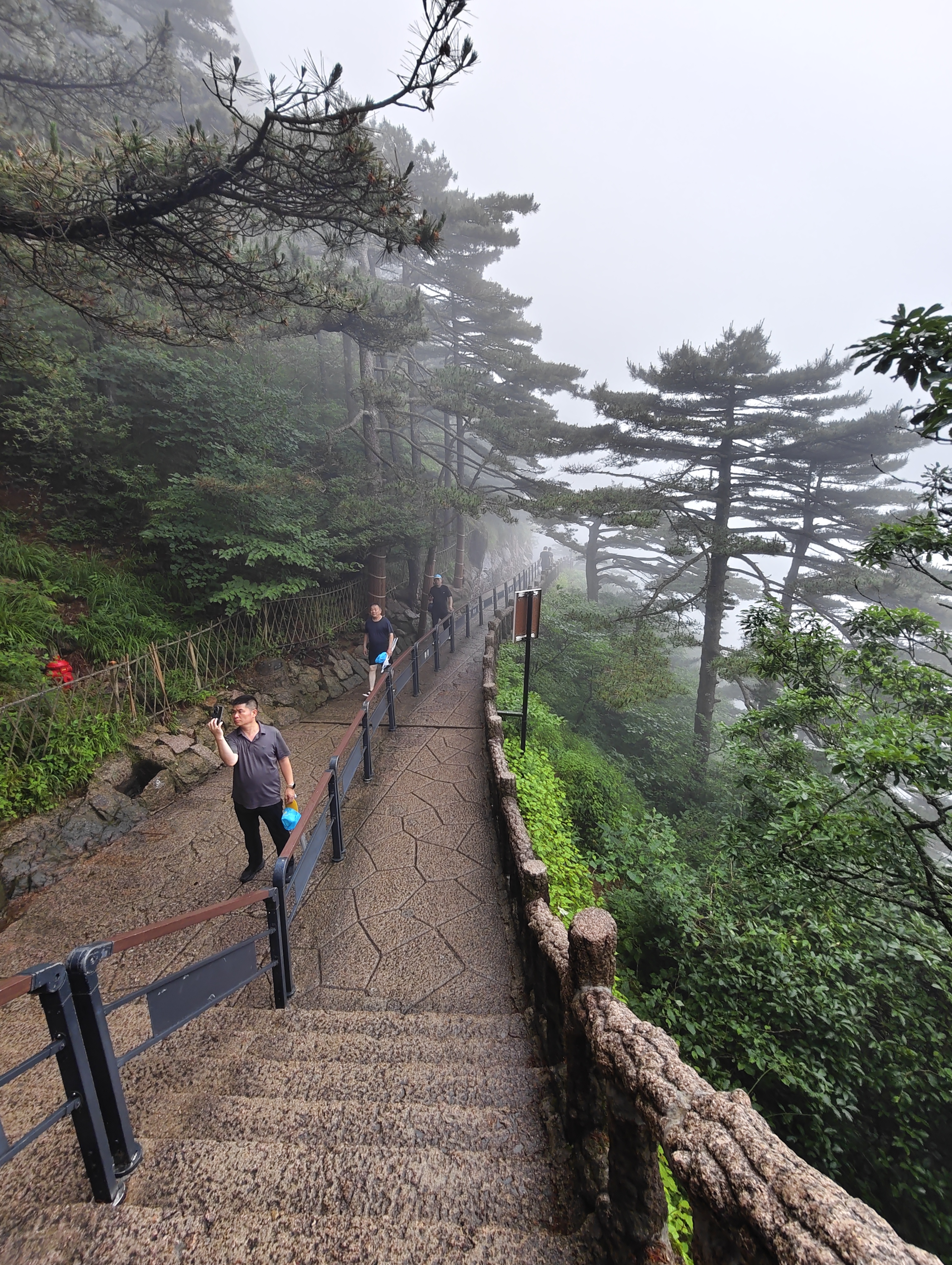 黄山·2026年6月21日 24