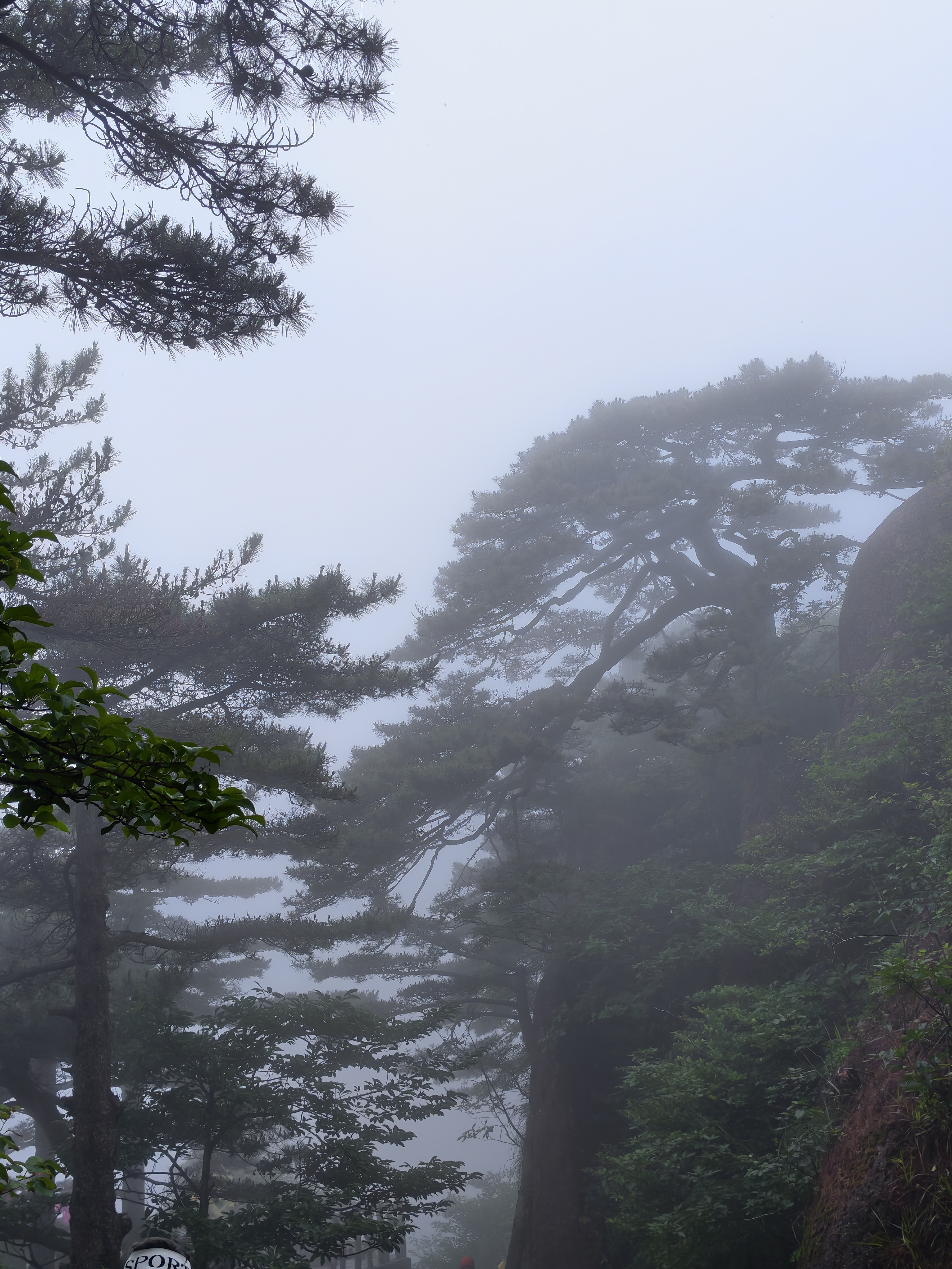 黄山·2026年6月21日 33