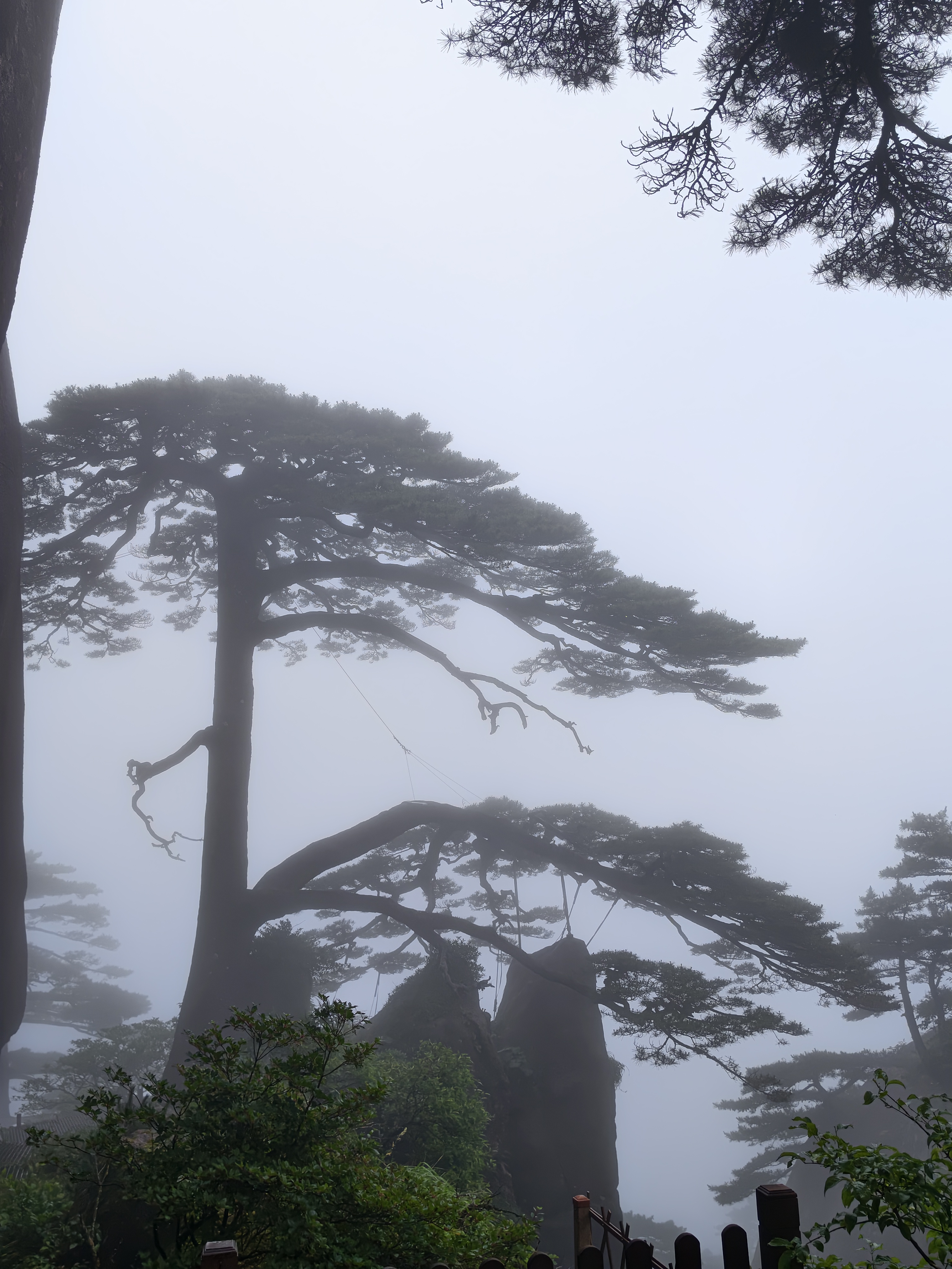 黄山·2026年6月21日 34