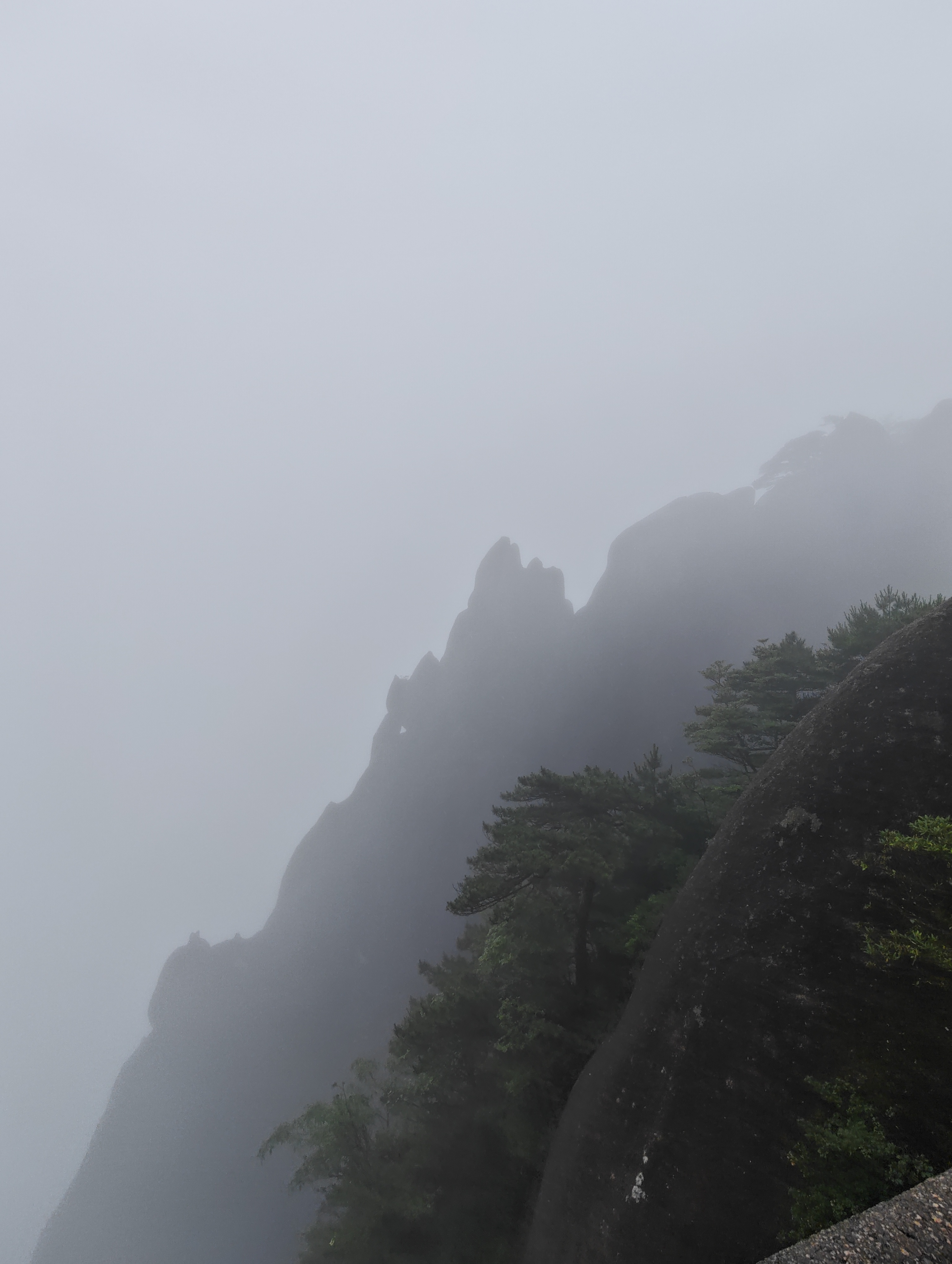 黄山·2026年6月21日 44