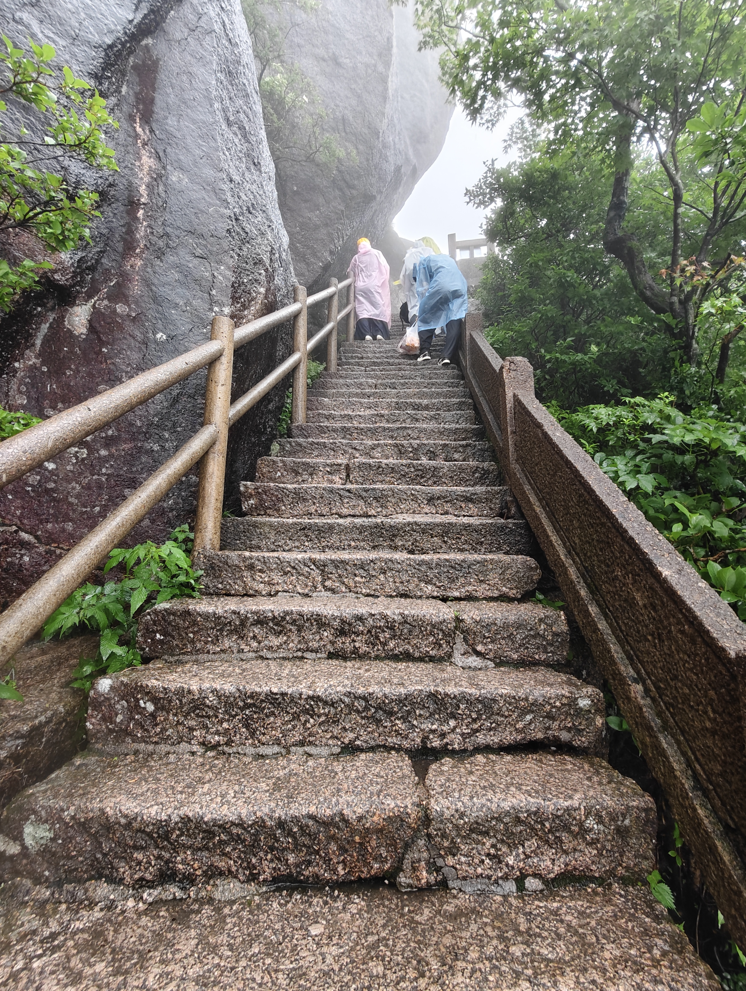 黄山·2026年6月21日 51