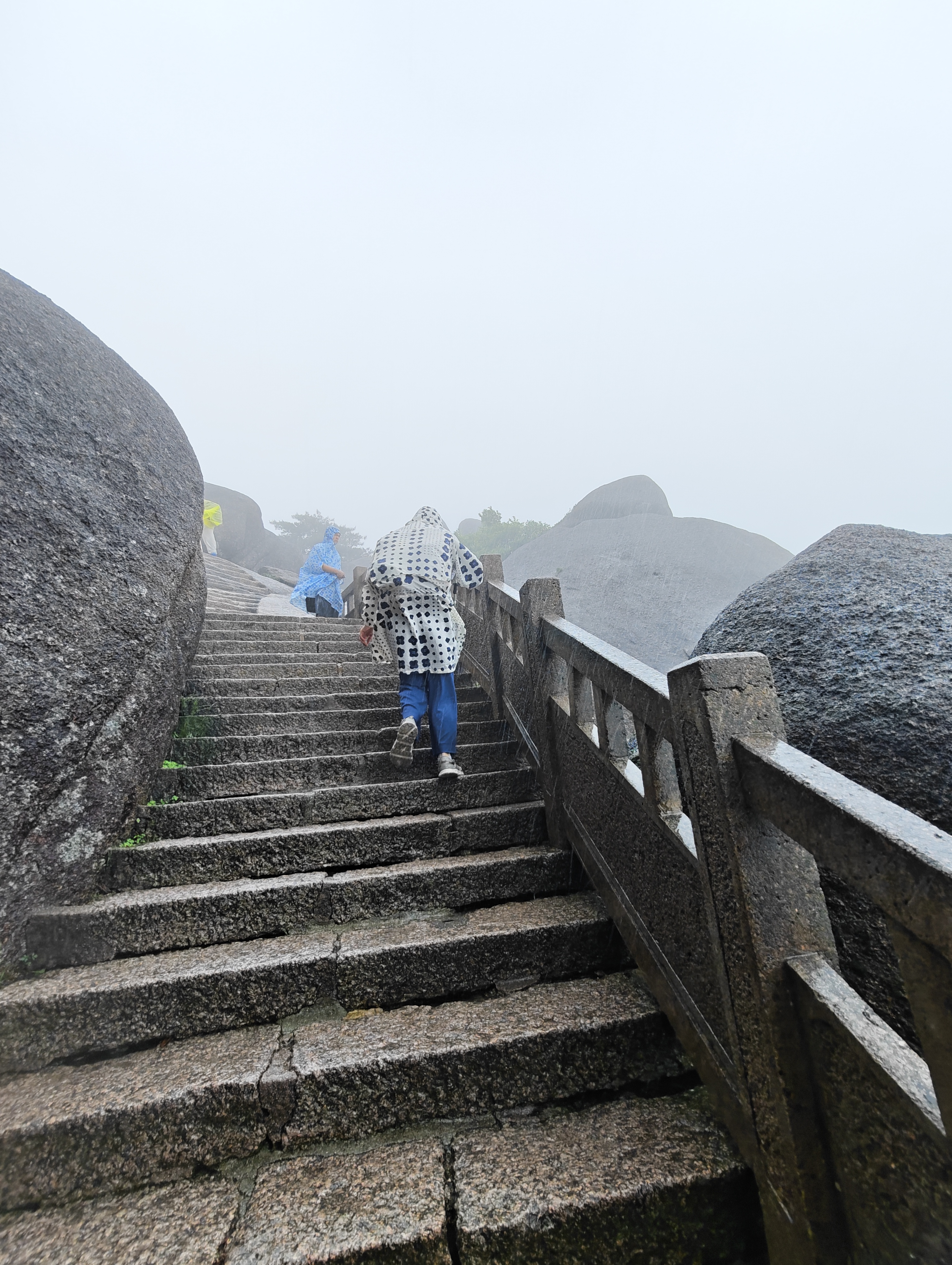 黄山·2026年6月21日 53