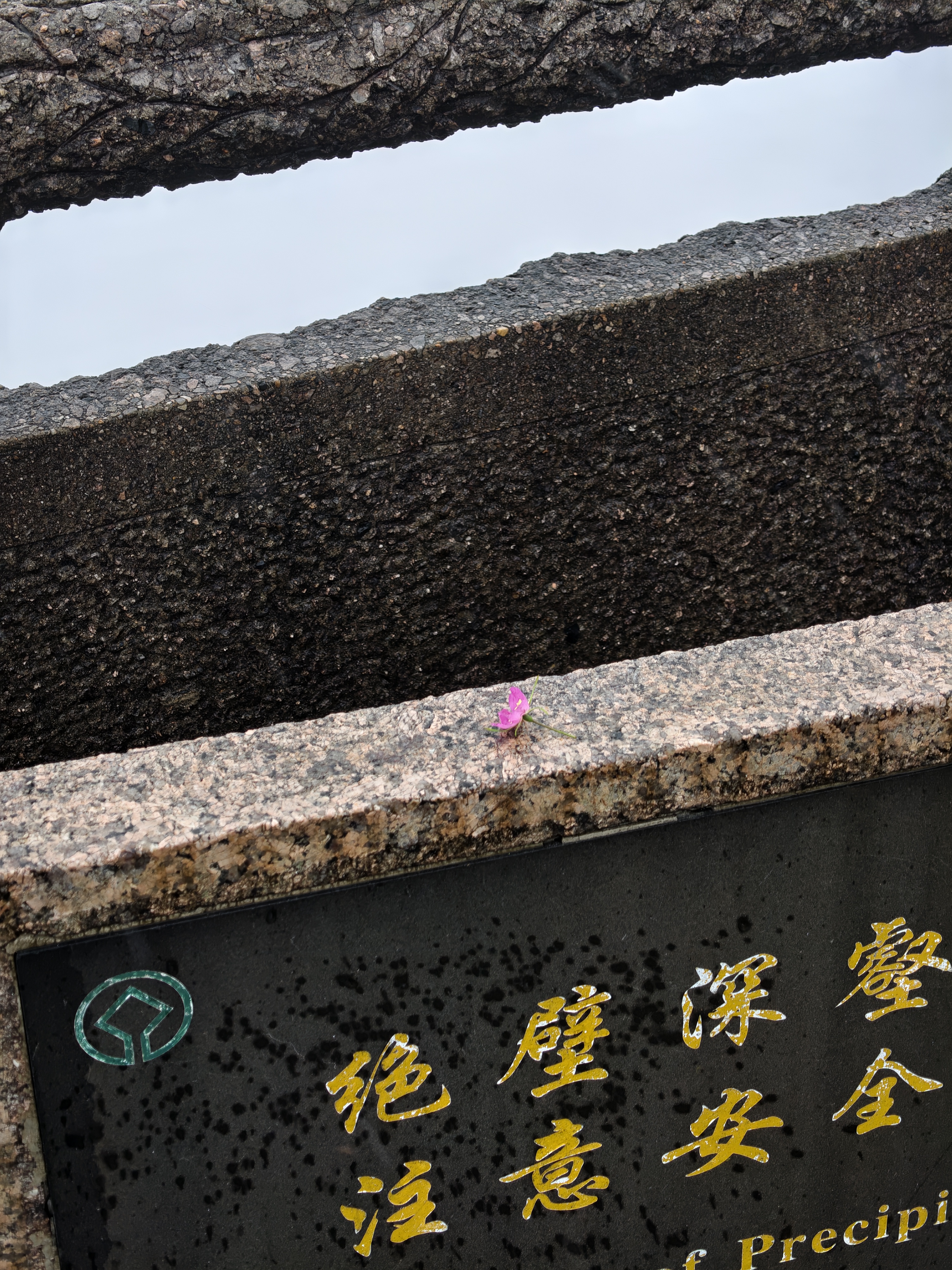 黄山·2026年6月21日 55