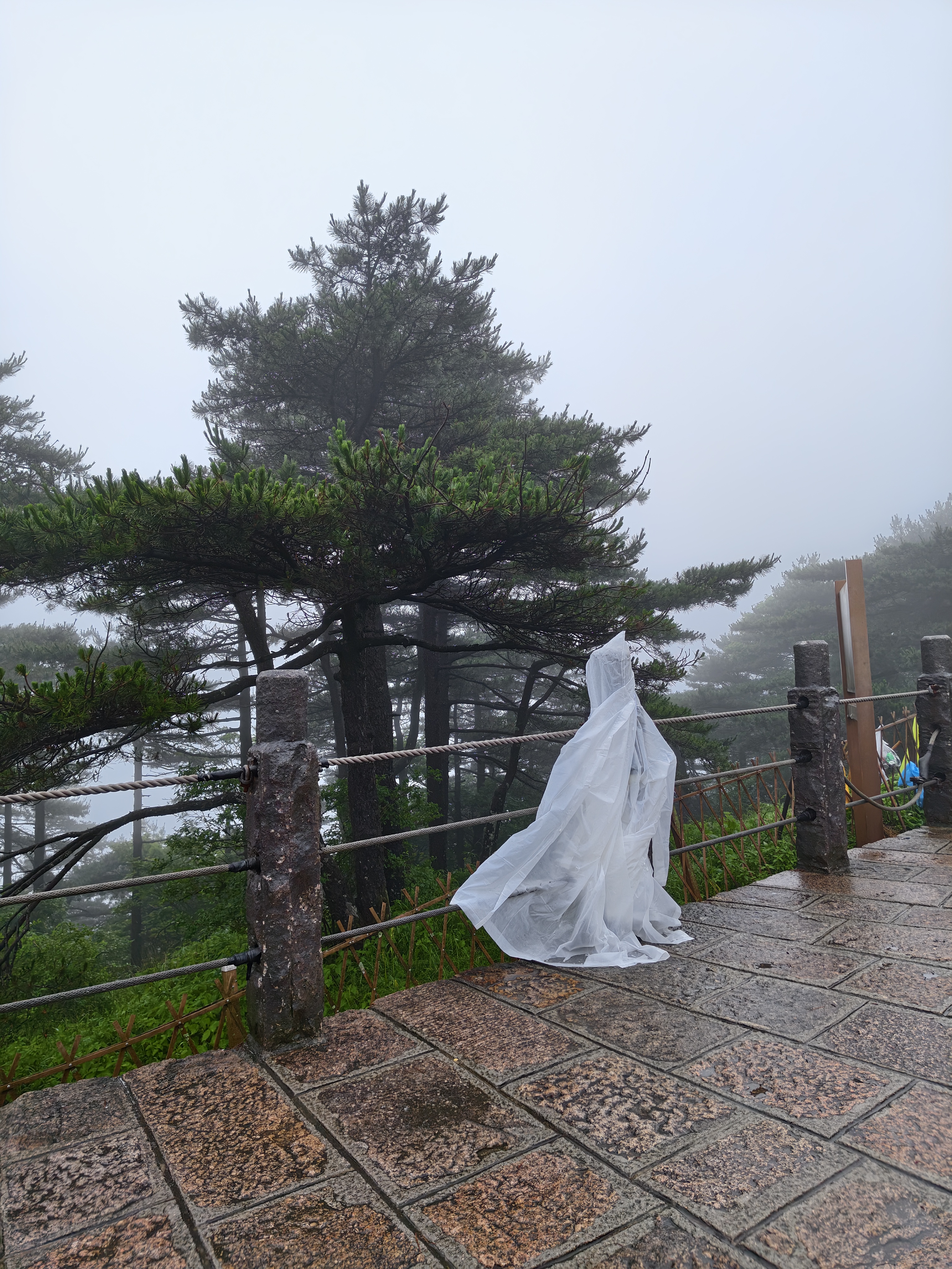 黄山·2026年6月21日 59