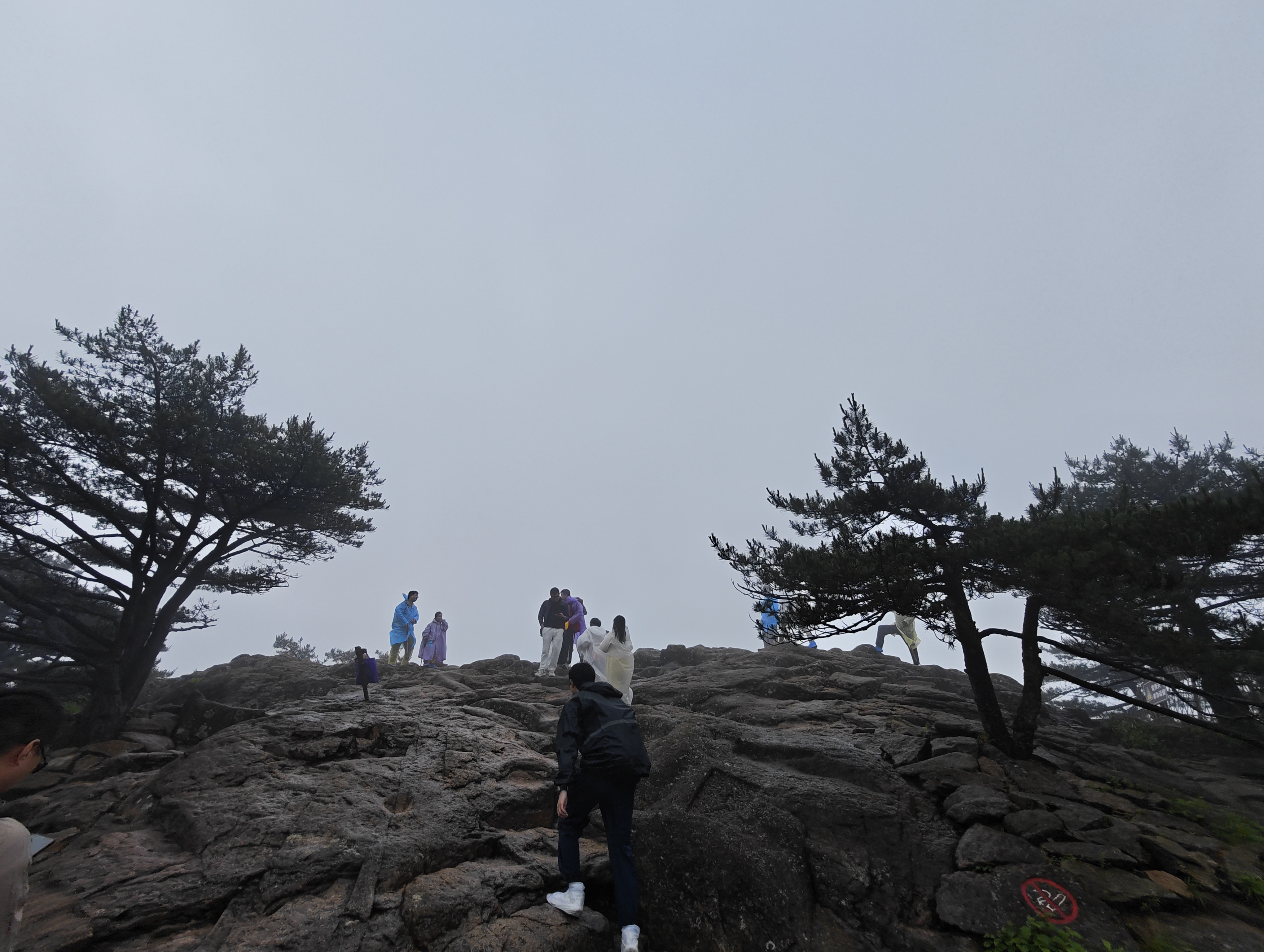 黄山·2026年6月21日 71