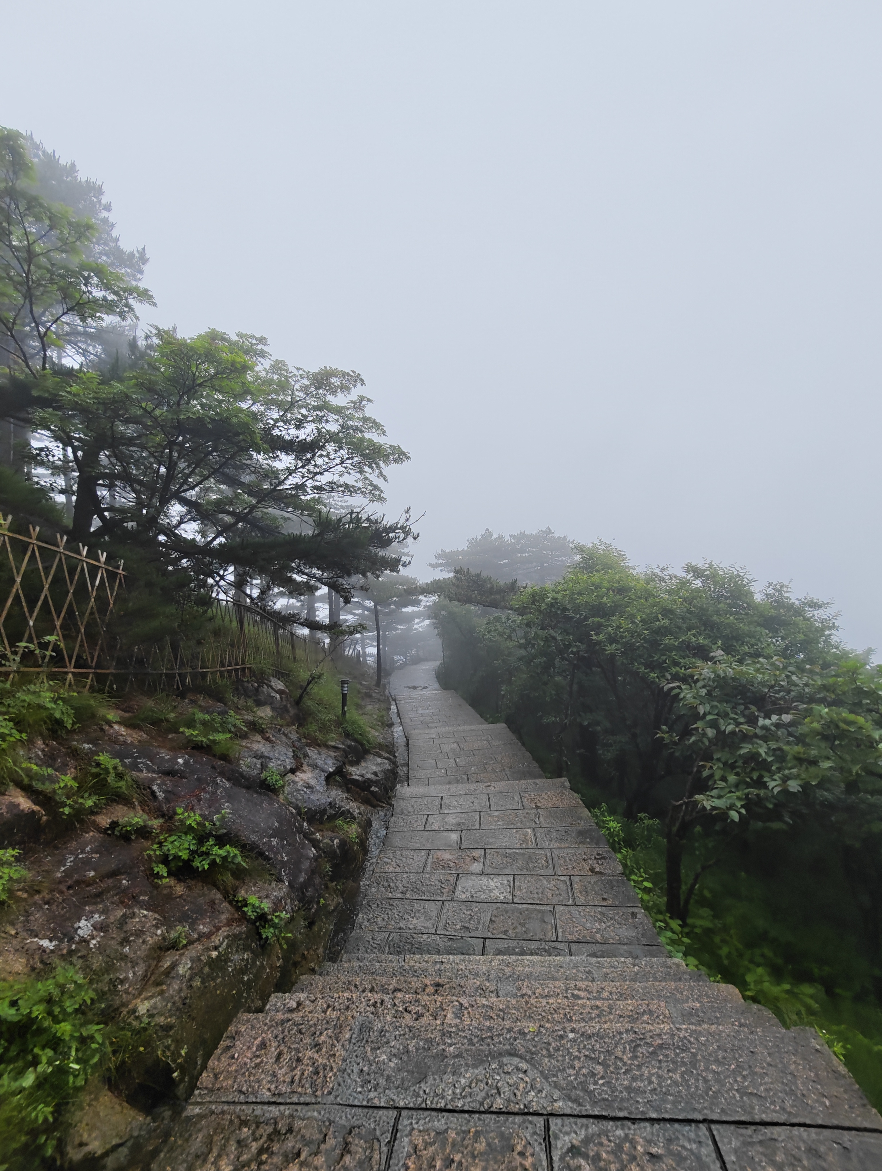 黄山·2026年6月21日 72