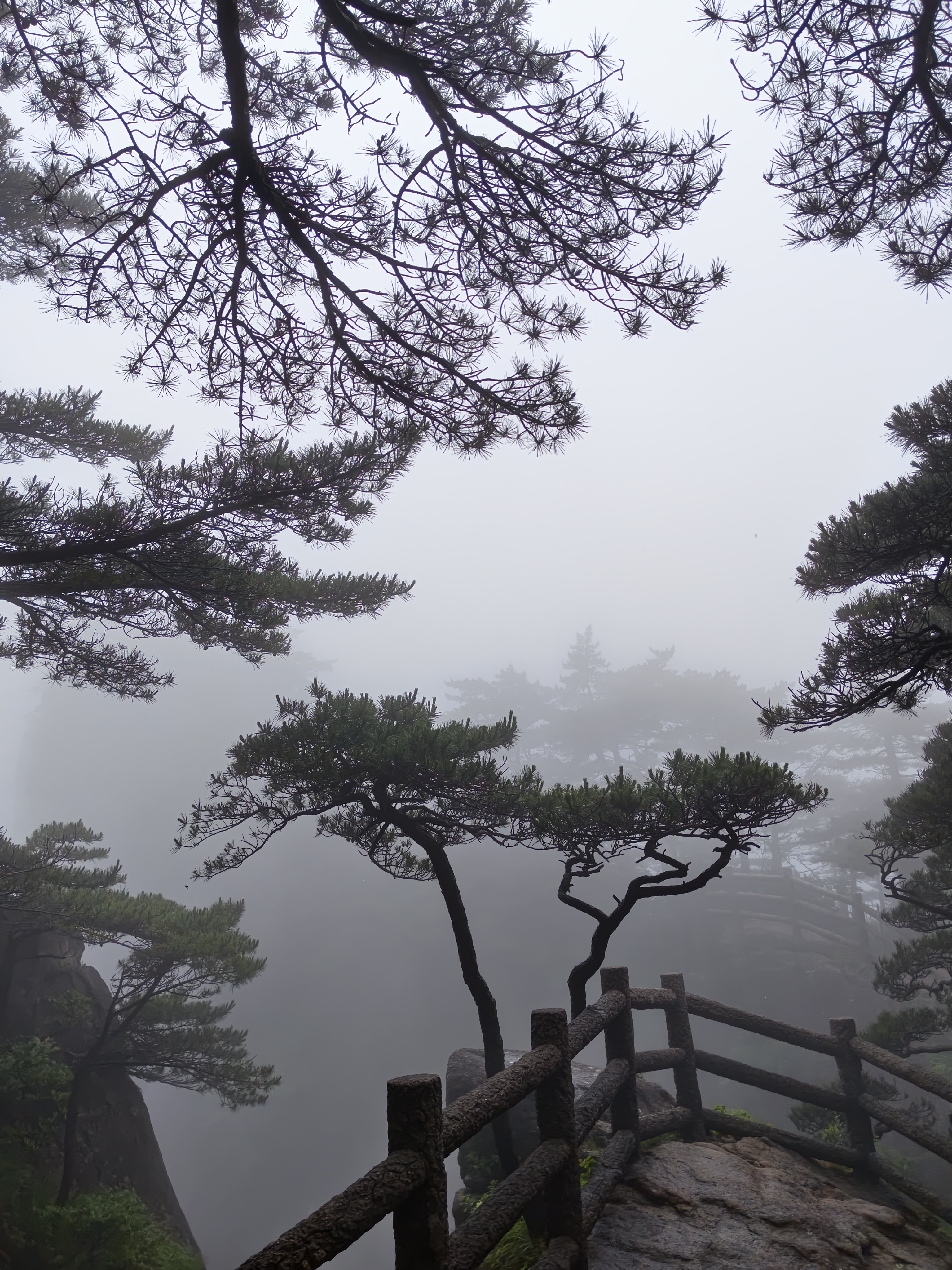 黄山·2026年6月21日 75