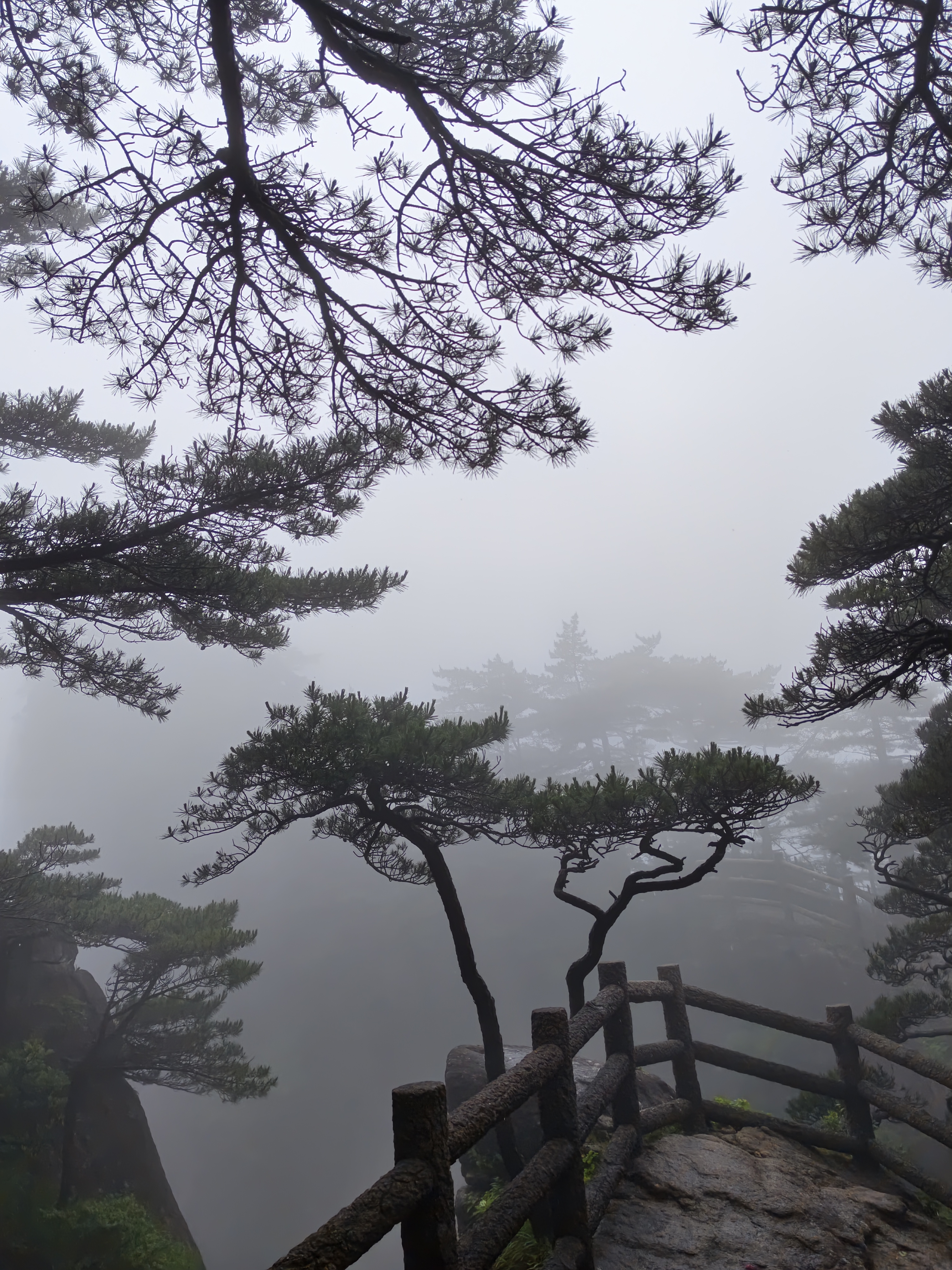 黄山·2026年6月21日 77