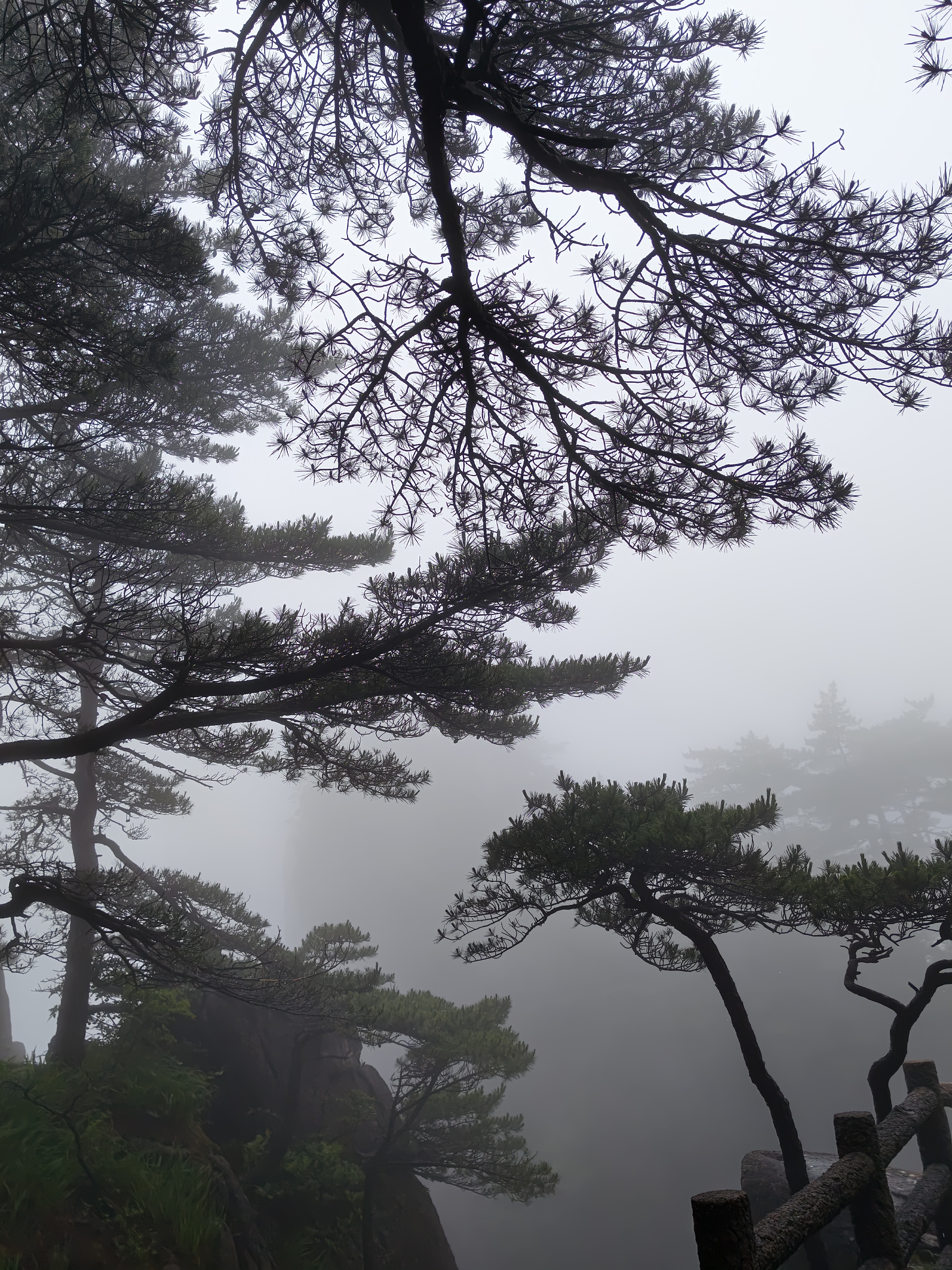 黄山·2026年6月21日 79