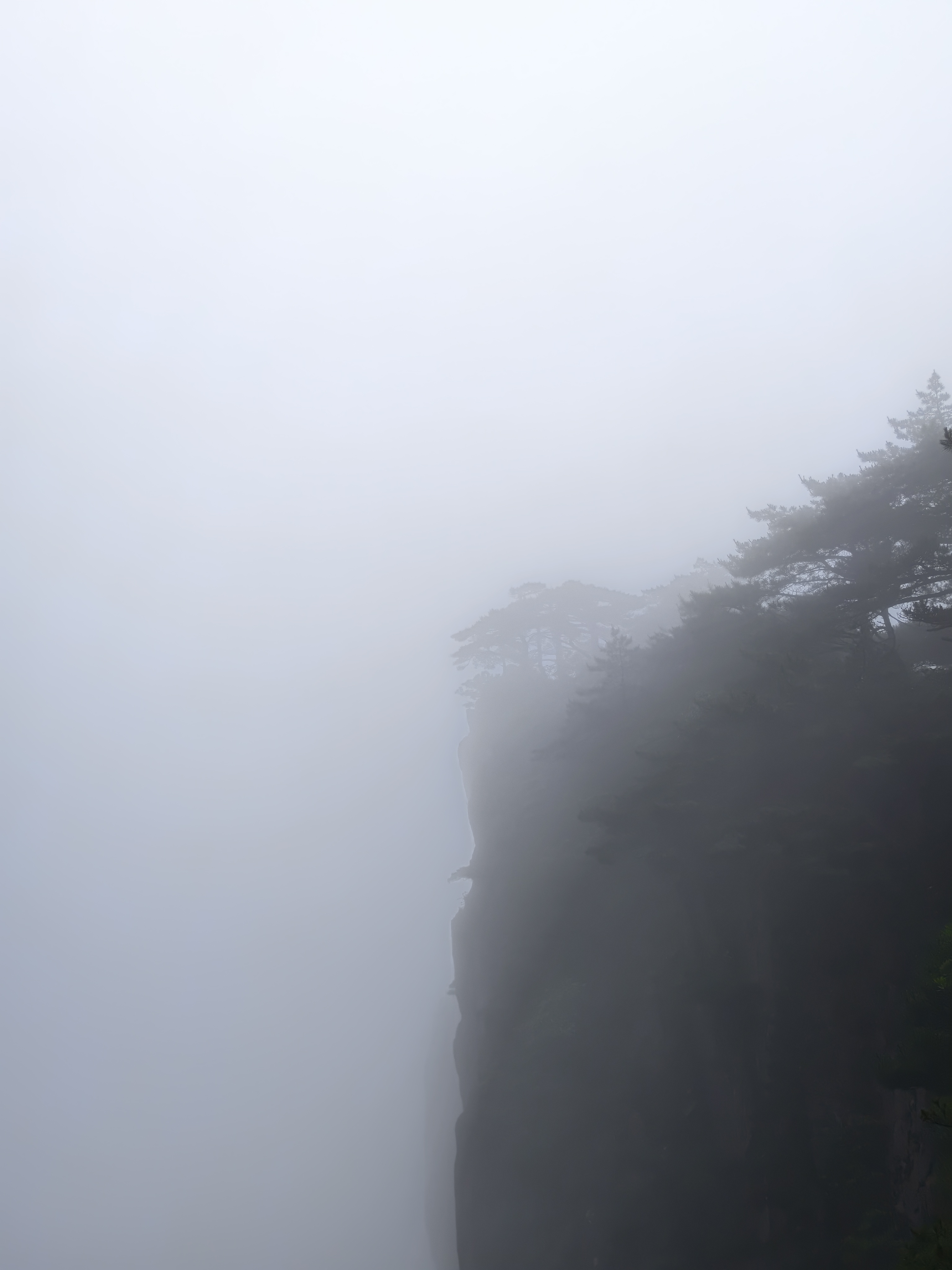 黄山·2026年6月21日 81