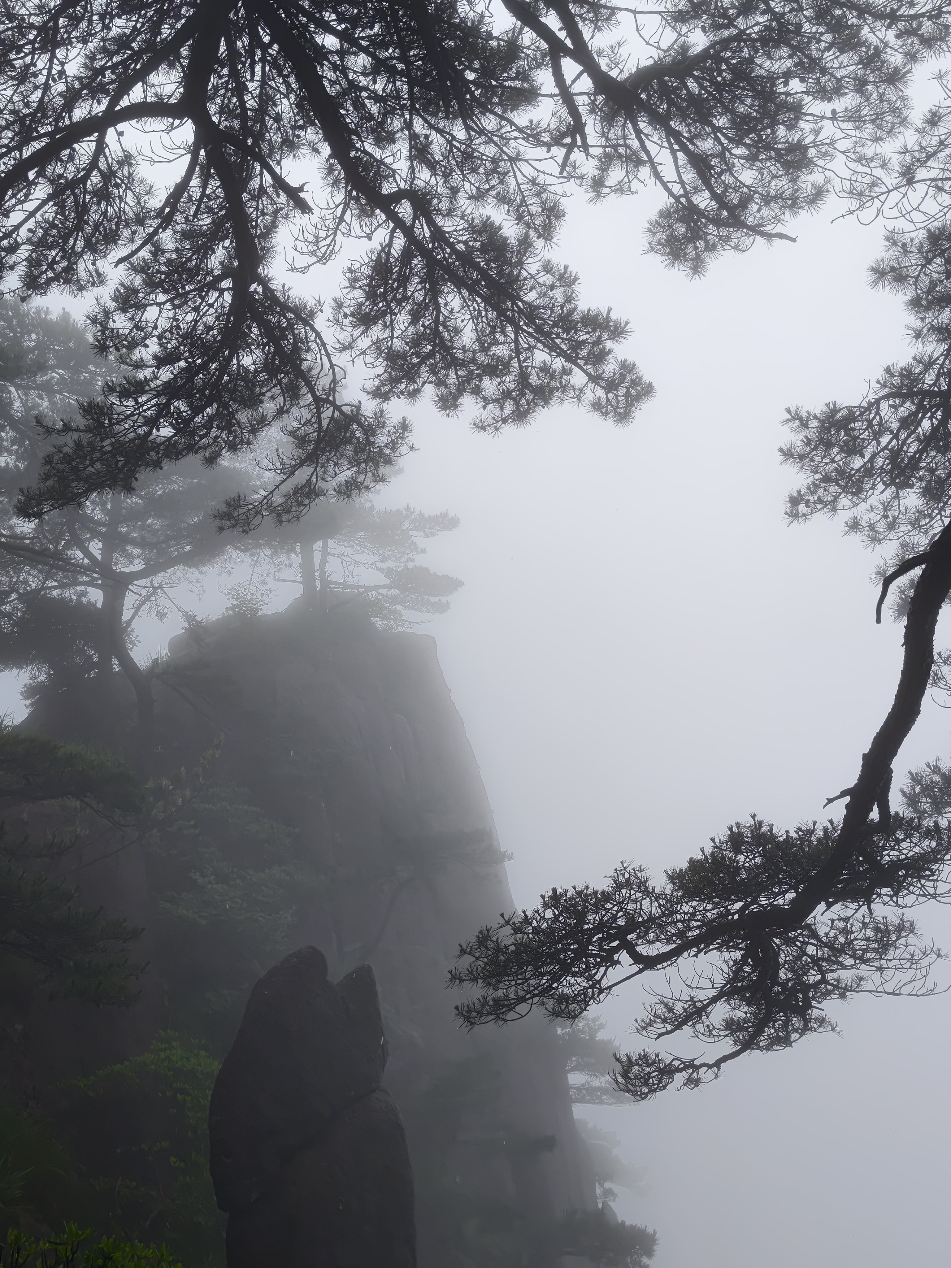黄山·2026年6月21日 84