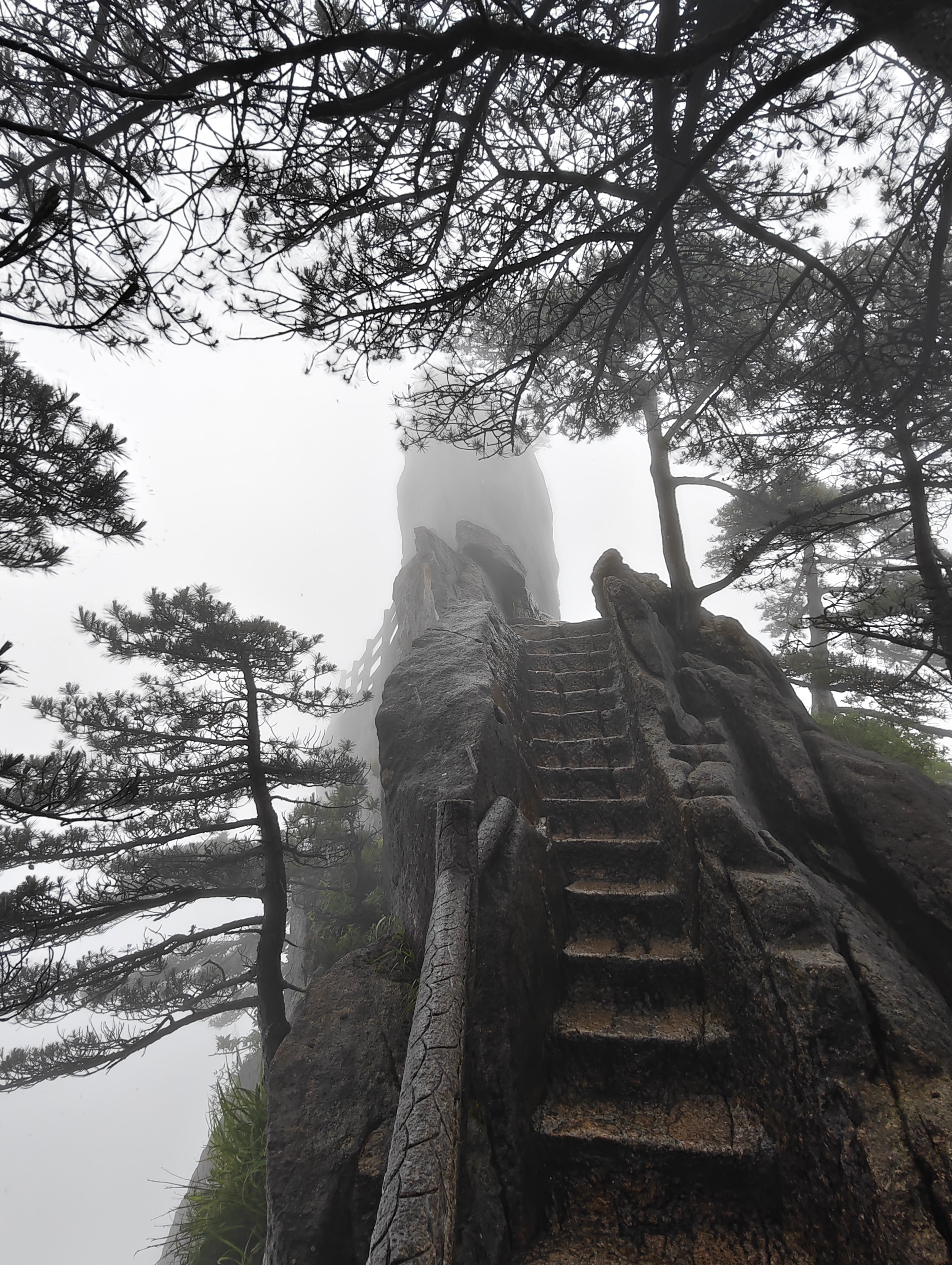 黄山·2026年6月21日 85