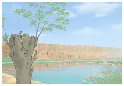 旅行青蛙 126
